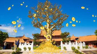 摇钱树1973在线观看,重温经典，揭秘财富传奇